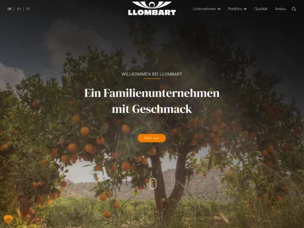 Digitaler Markenauftritt Llombart