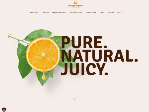 Website-Relaunch Orange-Xpress